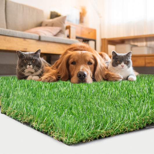 TURF 5X8FT (40 Square FT) Indoor Outdoor Pet Dog Artificial Grass Mat Rug
